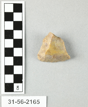 31-56-2165