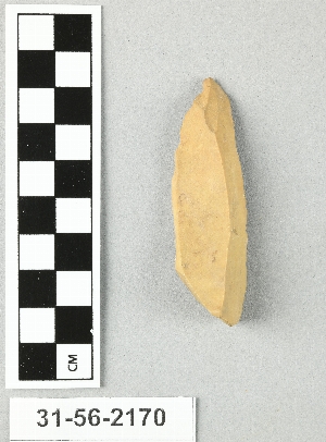 31-56-2170