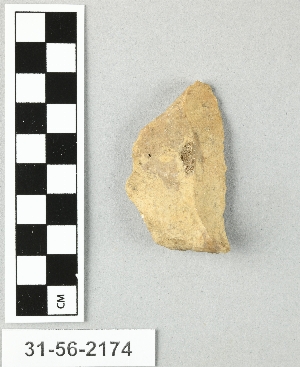 31-56-2174
