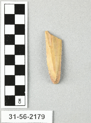 31-56-2179
