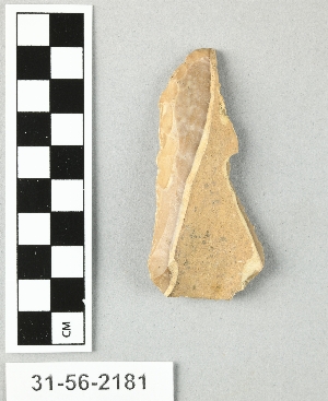 31-56-2181
