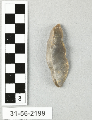 31-56-2199