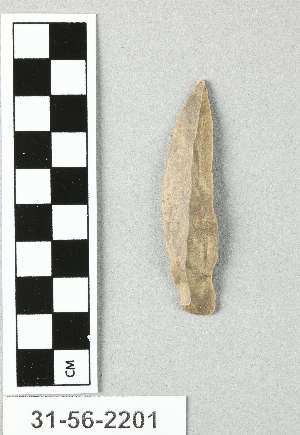 31-56-2201