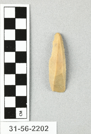 31-56-2202