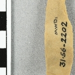 945443