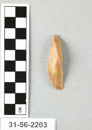 31-56-2203