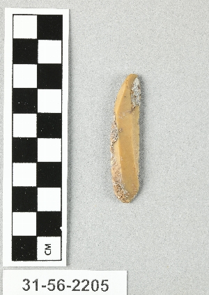31-56-2205