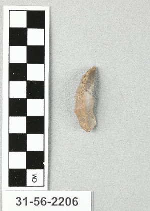 31-56-2206