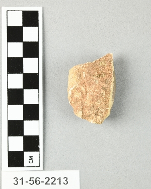 31-56-2213