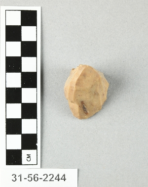 31-56-2244