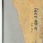 945597