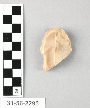 31-56-2295
