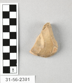 31-56-2301