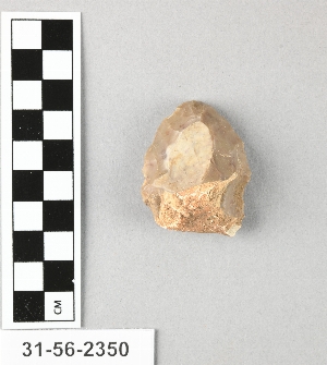31-56-2350