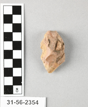 31-56-2354