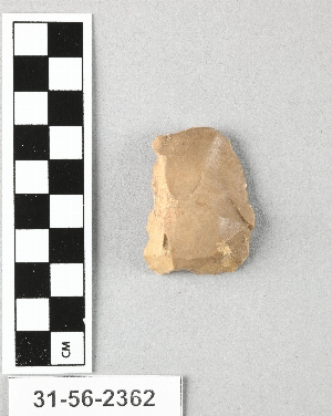 31-56-2362