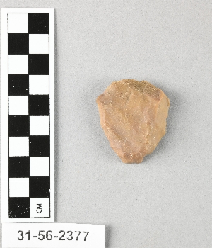 31-56-2377