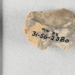 945906