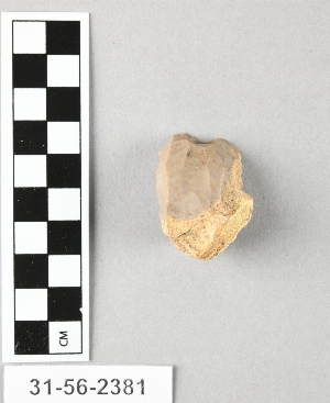 31-56-2381