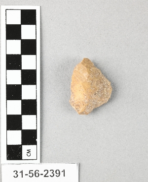 31-56-2391
