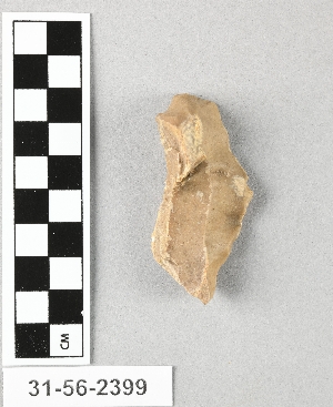 31-56-2399
