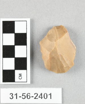 31-56-2401