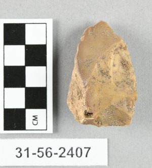 31-56-2407