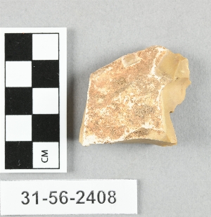 31-56-2408