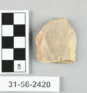 31-56-2420