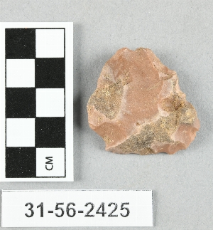 31-56-2425