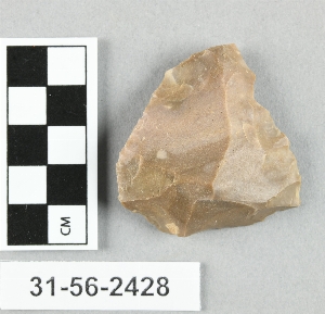31-56-2428