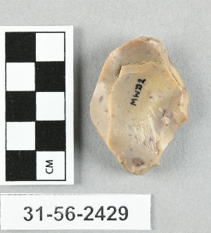 31-56-2429
