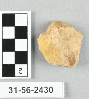 31-56-2430