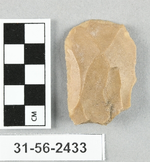31-56-2433