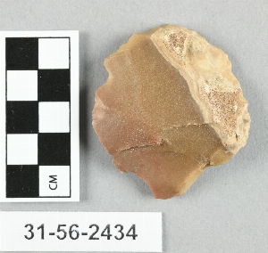 31-56-2434