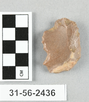 31-56-2436