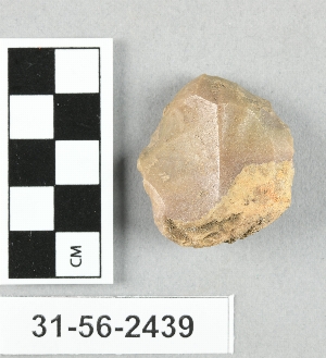 31-56-2439