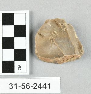 31-56-2441