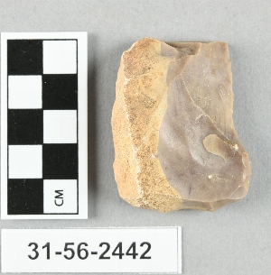 31-56-2442