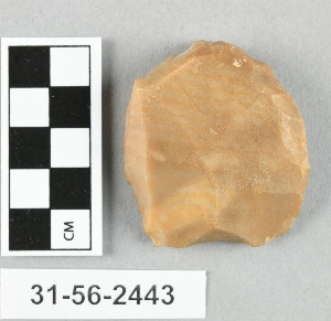 31-56-2443