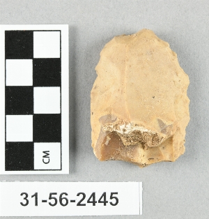 31-56-2445