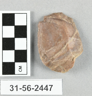 31-56-2447