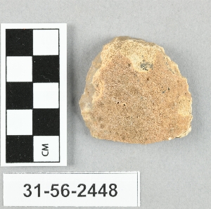 31-56-2448