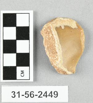 31-56-2449