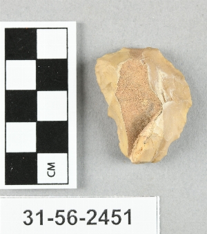31-56-2451