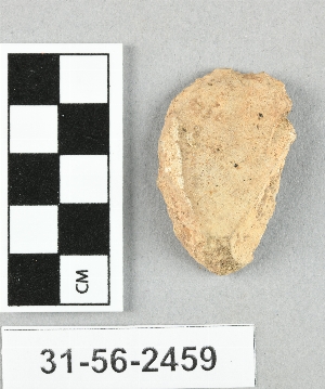 31-56-2459