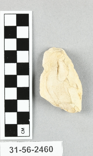31-56-2460