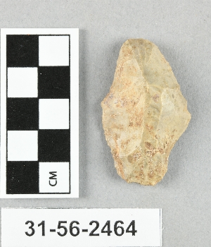 31-56-2464