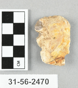 31-56-2470