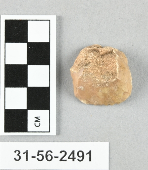 31-56-2491